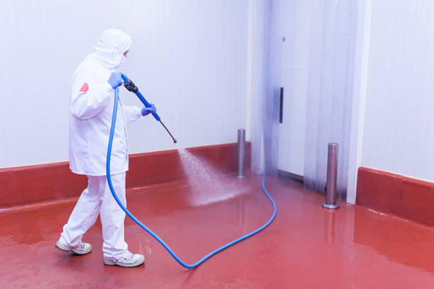 Best Roof Washing  in Bridgewater Center, NJ